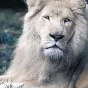 Meet your Posher, Roberto